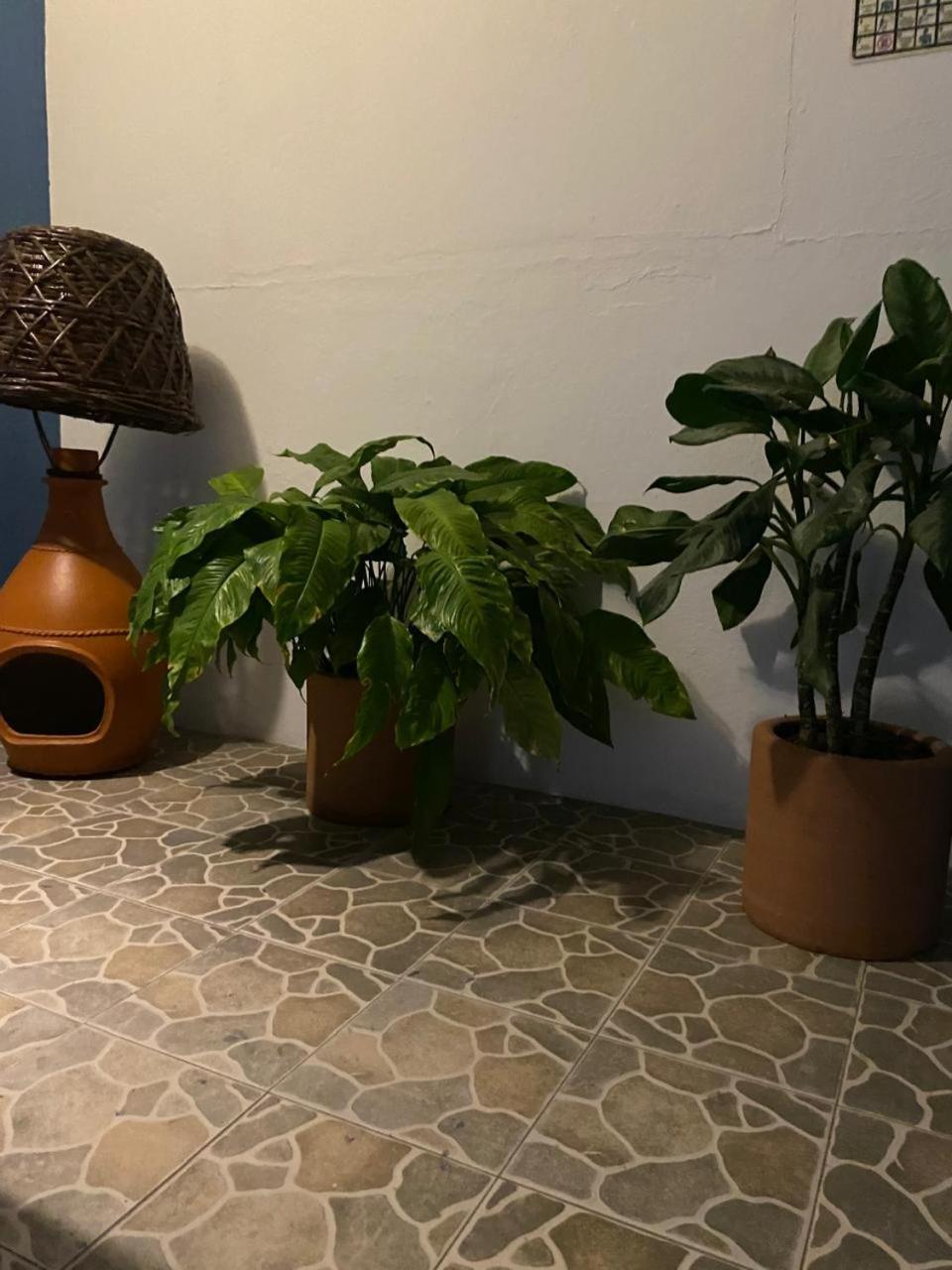 Hotel Casa Juanita 埃斯孔迪多港 外观 照片